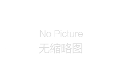 貝雷鋼橋的主體結構構成